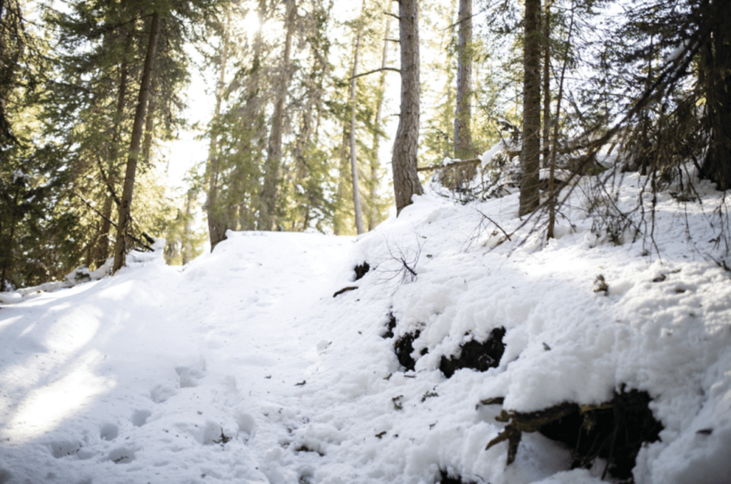 Winter Activities in Duluth Pier B Resort Duluth, Minnesota