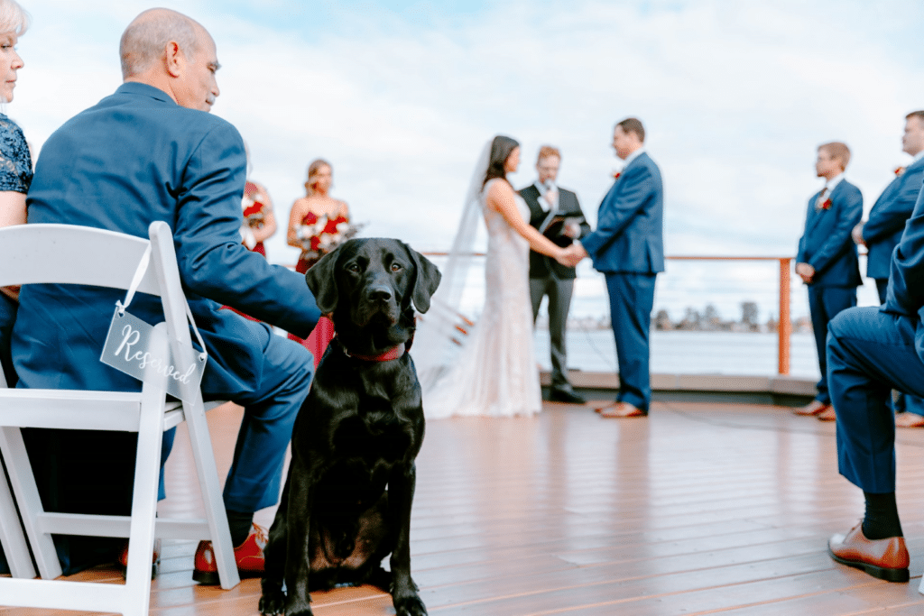 pierbresort weddings duluthmn (1)