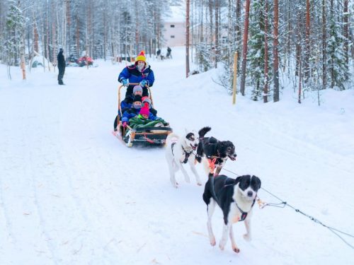 Rovaniemi, Finland - March 3, 2017: Family with children riding husky dogs sledge in Rovaniemi, Lapland in winter Finnish forest