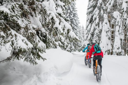 Man and woman riding their fat bikes on snowy forest trail.